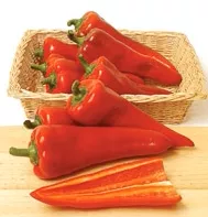 carmen-sweet-italian-pepper Carmen - Sweet Italian Pepper