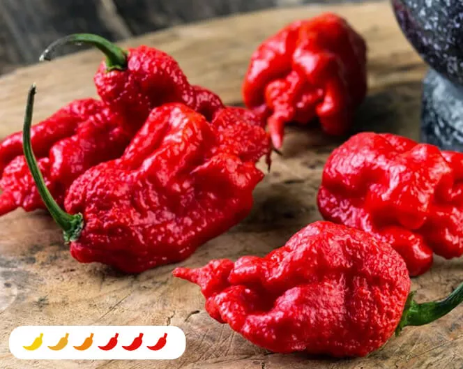 carolina-reaper-pepper-2-pack Carolina Reaper Pepper (2 Pack)