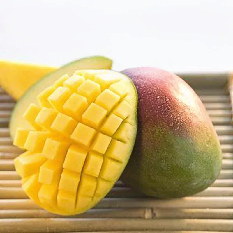 carrie-dwarf-mango-tree-grafted Carrie Dwarf Mango Tree Grafted