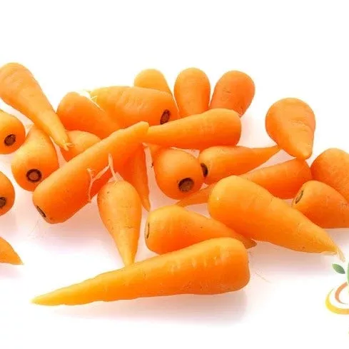 carrot-chantenay-5-long-seeds Carrot - Chantenay (5" Long) seeds