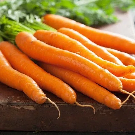 carrot-kuroda-8-long-seeds Carrot - Kuroda (8" Long) seeds
