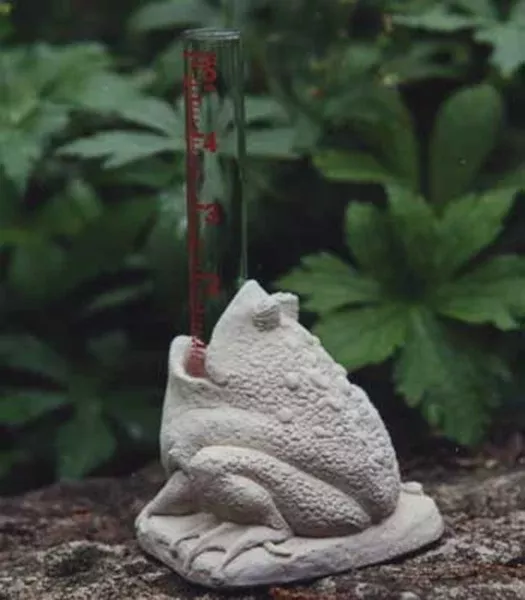 Carruth Studio Drinking The Rain Rain Gauge