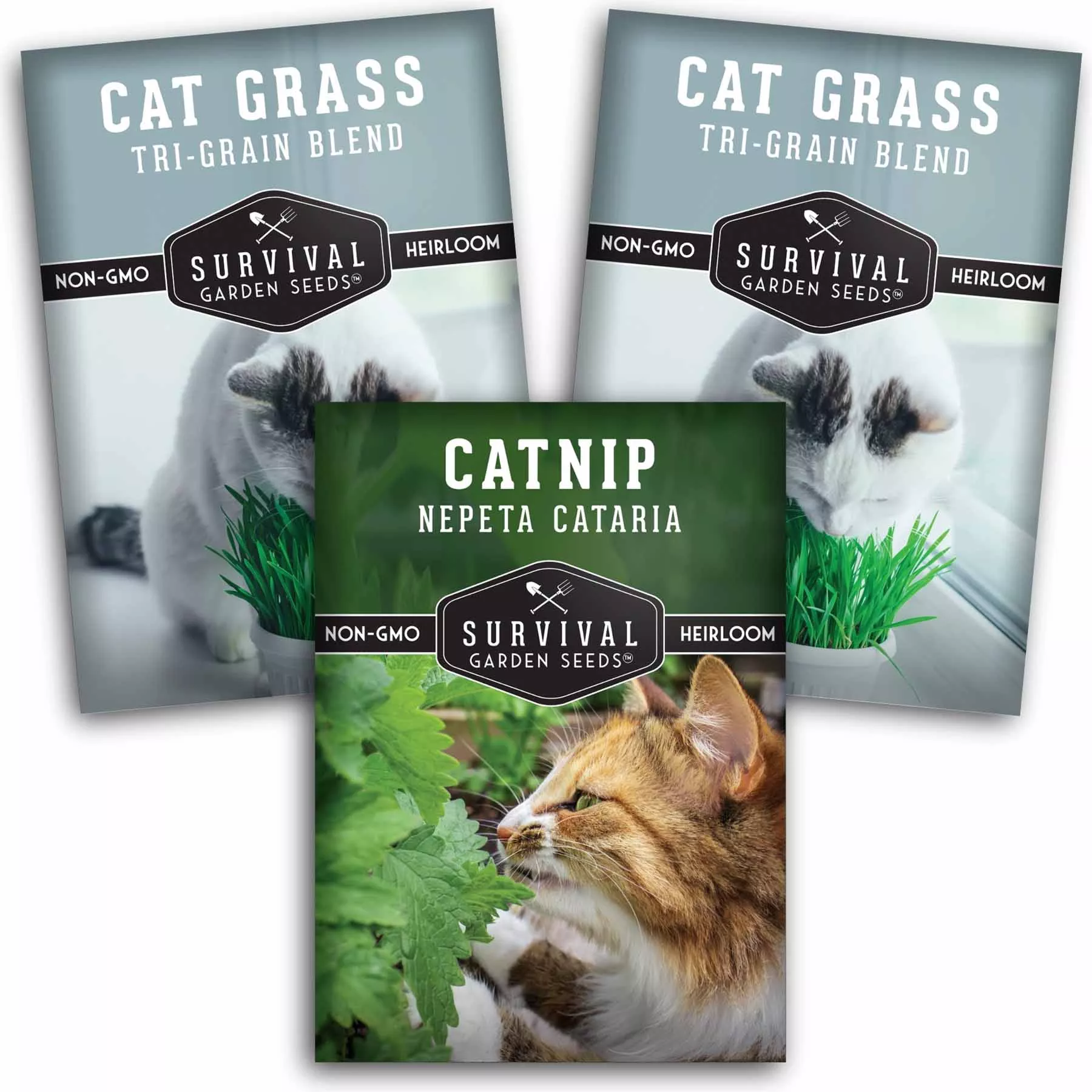 cat-grass-catnip-seed-collection-fun-healthy-greens-enrichment-herbs-indoor-cats Cat Grass & Catnip Seed Collection – Fun, Healthy Greens & Enrichment Herbs for Indoor Cats