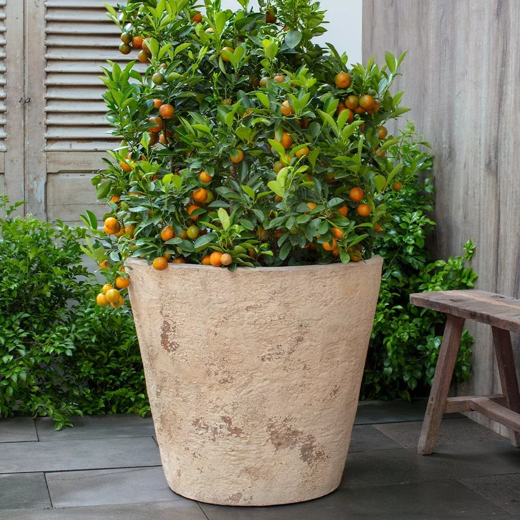 catena-planter-24-by-campania-international Catena Planter 24"By Campania International