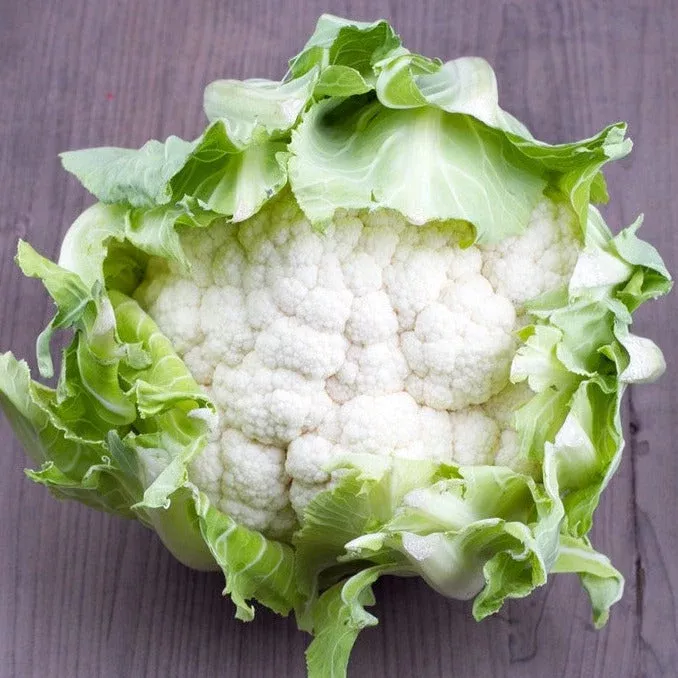cauliflower-igloo-seeds Cauliflower - Igloo seeds