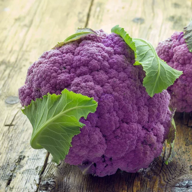 cauliflower-violetta-purple-seeds Cauliflower - Violetta (Purple) seeds