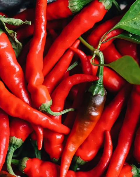 Cayenne Hot Pepper