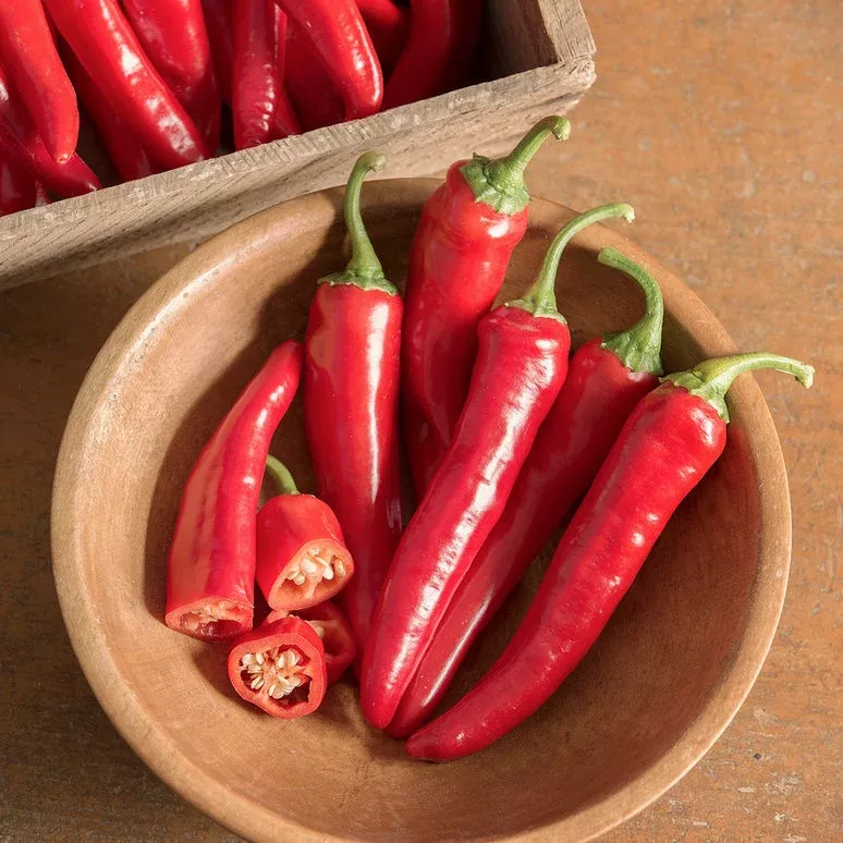 cayenne-red-ember Cayenne 'Red Ember'