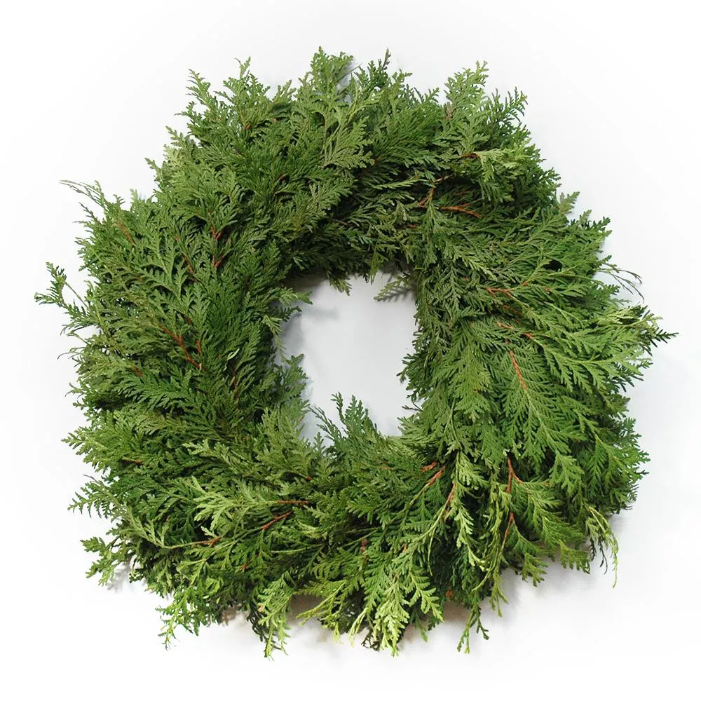 Cedar Wreath