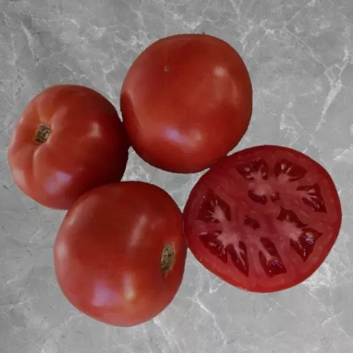celebrity-supreme-tomato-seeds Celebrity Supreme Tomato Seeds