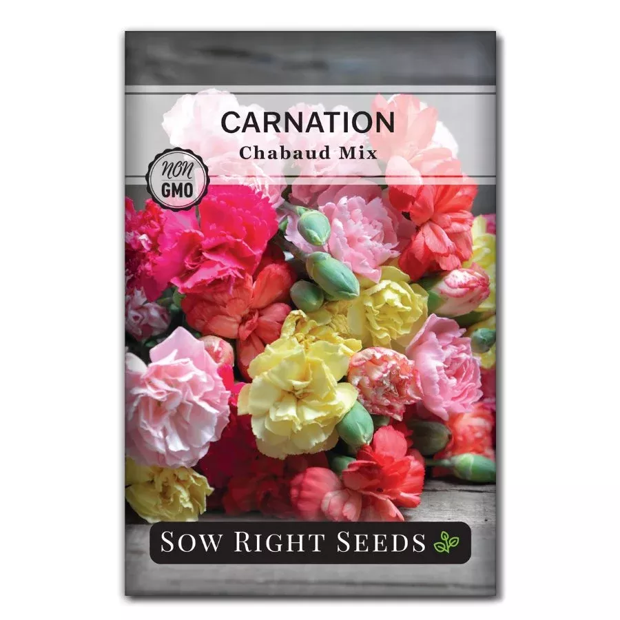 chabaud-mixed-carnation Chabaud Mixed Carnation