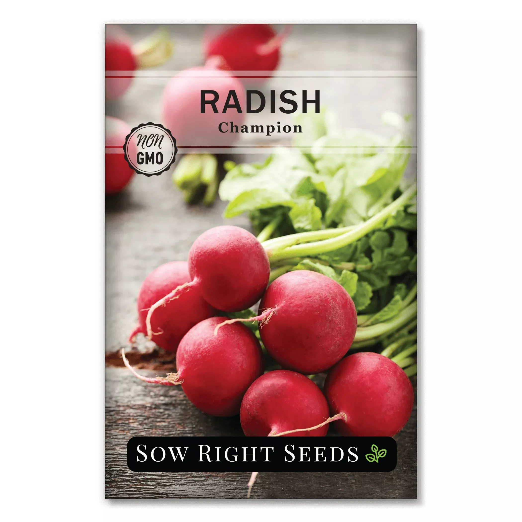 champion-radish Champion Radish