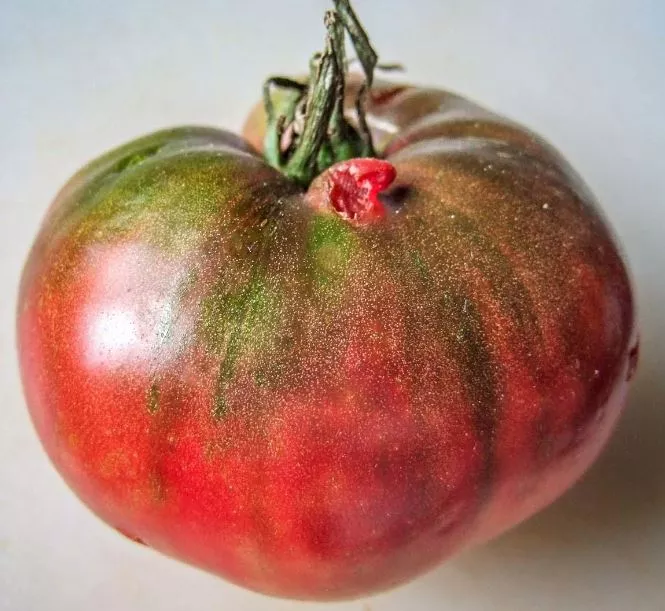 charbonni-re-tomato Charbonnière Tomato