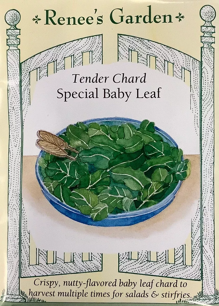 chard-special-baby-leaf Chard - Special Baby Leaf