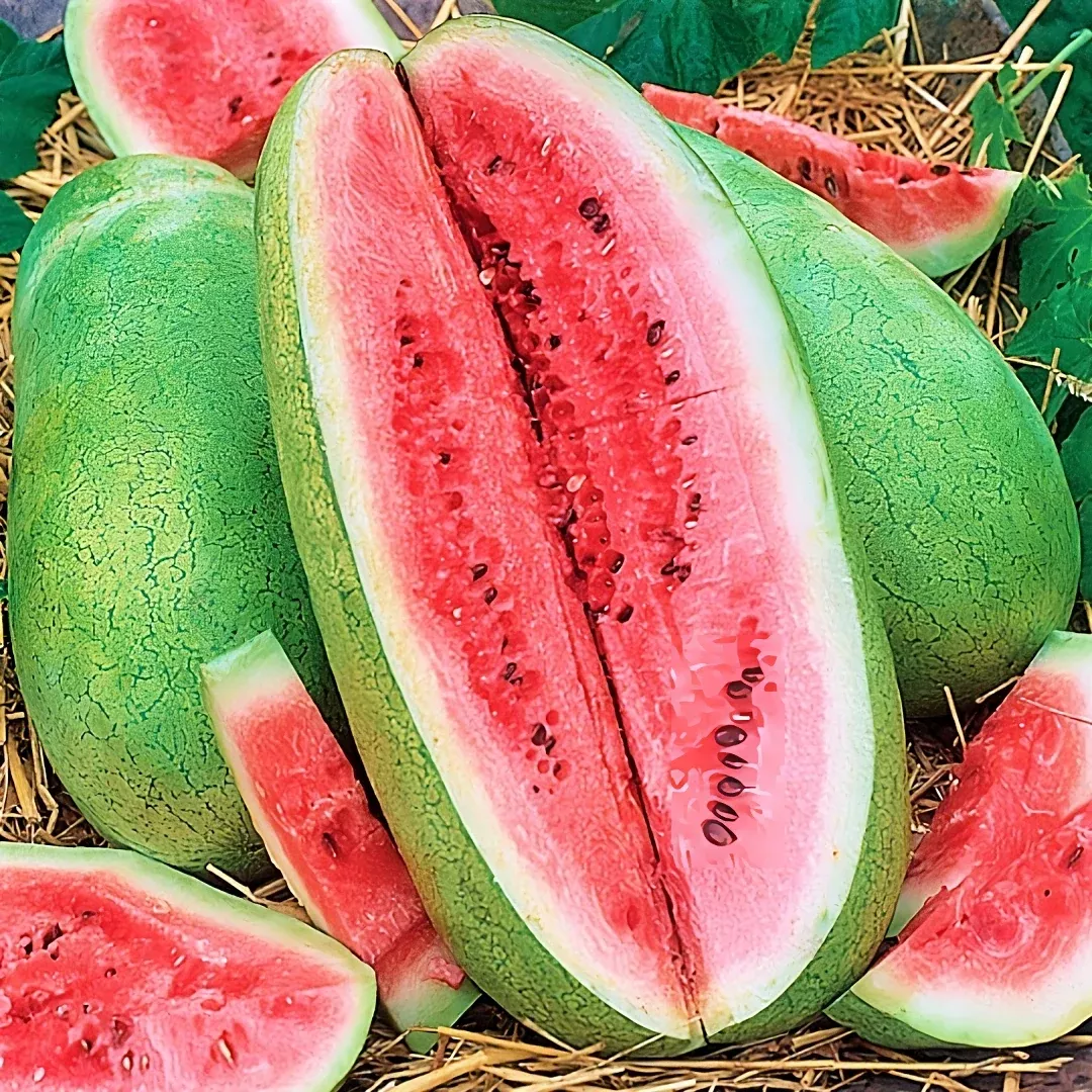 Charleston Grey Watermelon