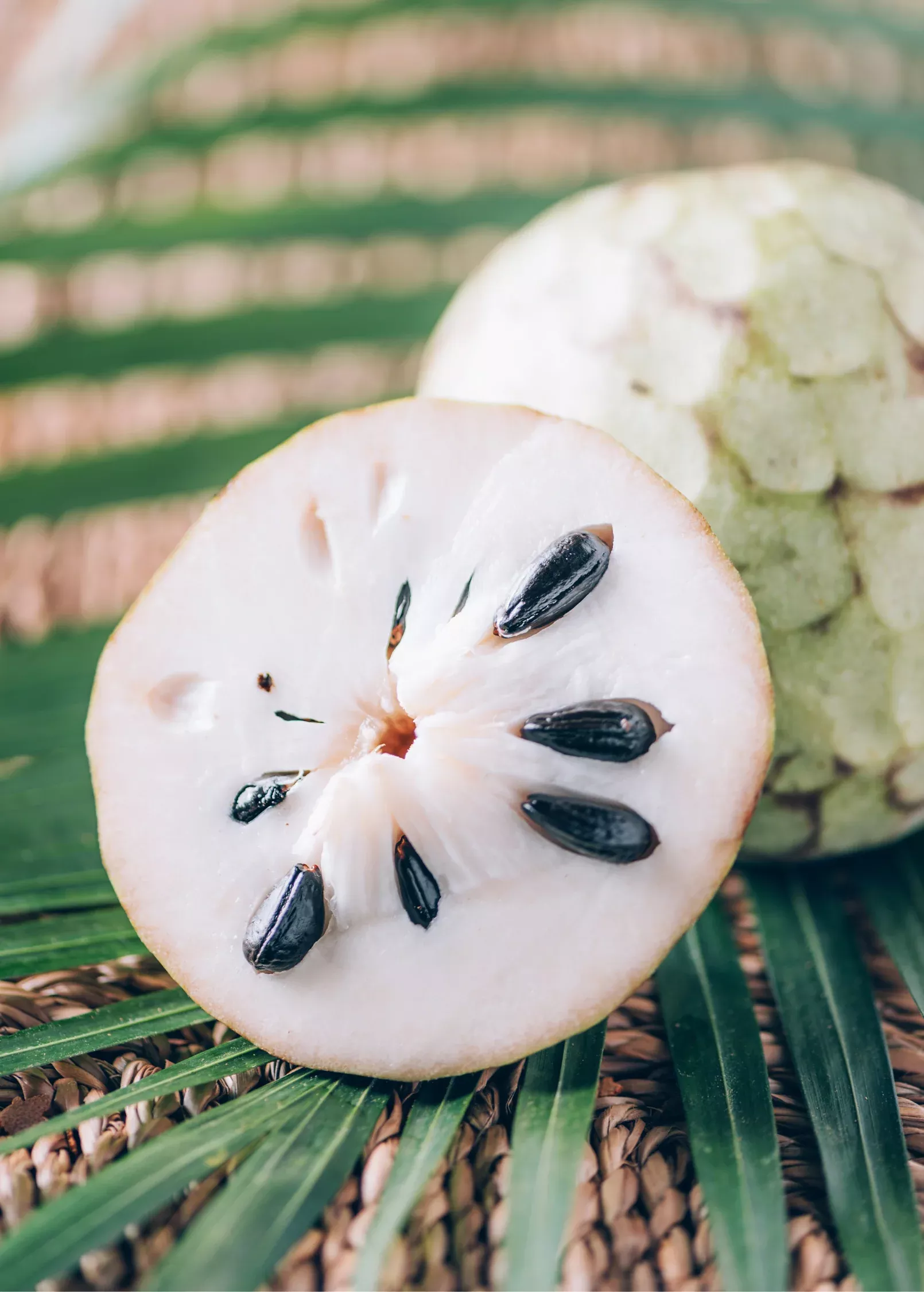 cherimoya-annona-cherimola Cherimoya (Annona cherimola)