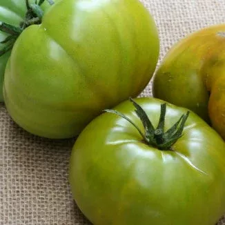 Cherokee Green Tomato