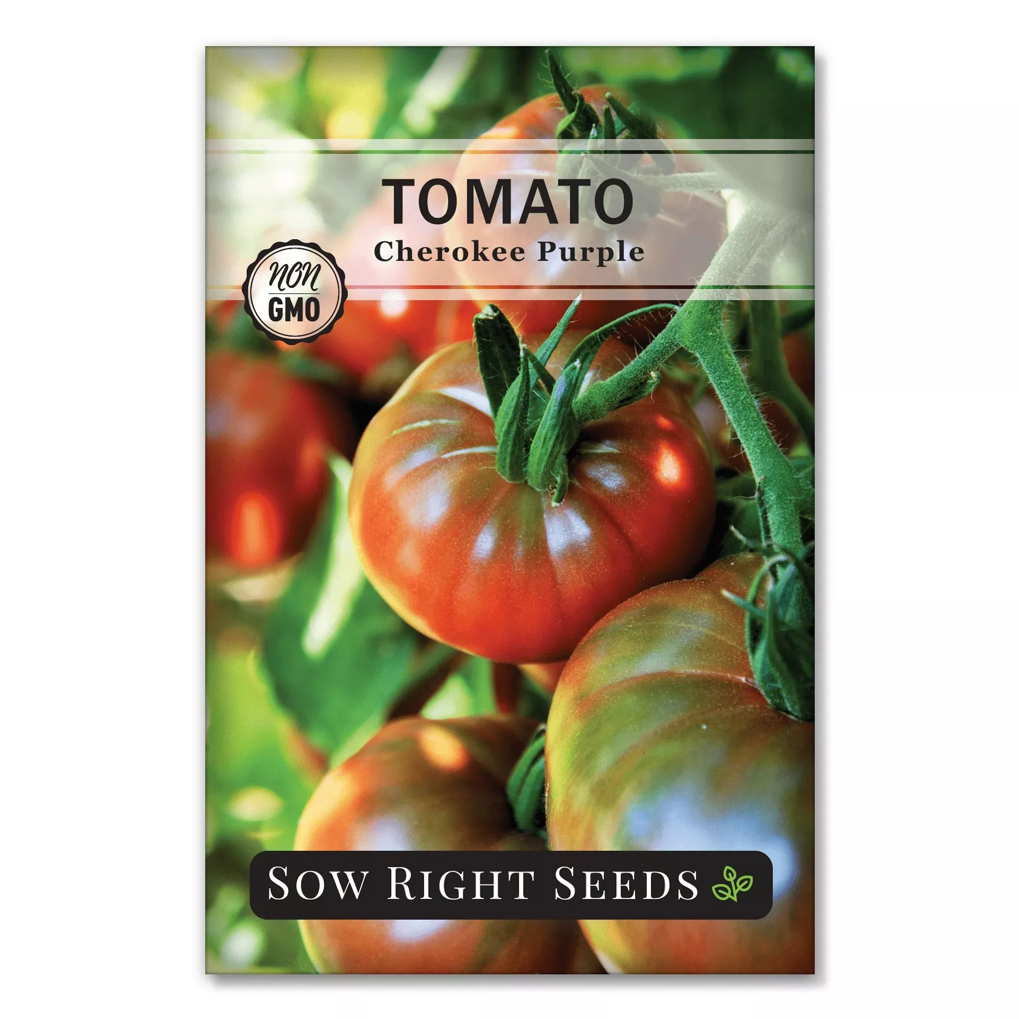 cherokee-purple-tomato-seeds Cherokee Purple Tomato Seeds