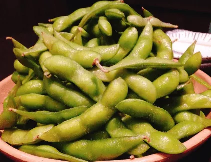 chiba-soyabean Chiba Soyabean