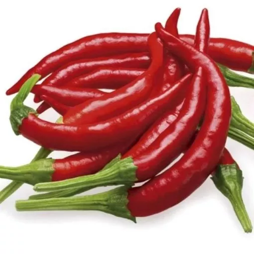 chile-de-arbol-pepper-seeds Chile de Arbol Pepper Seeds