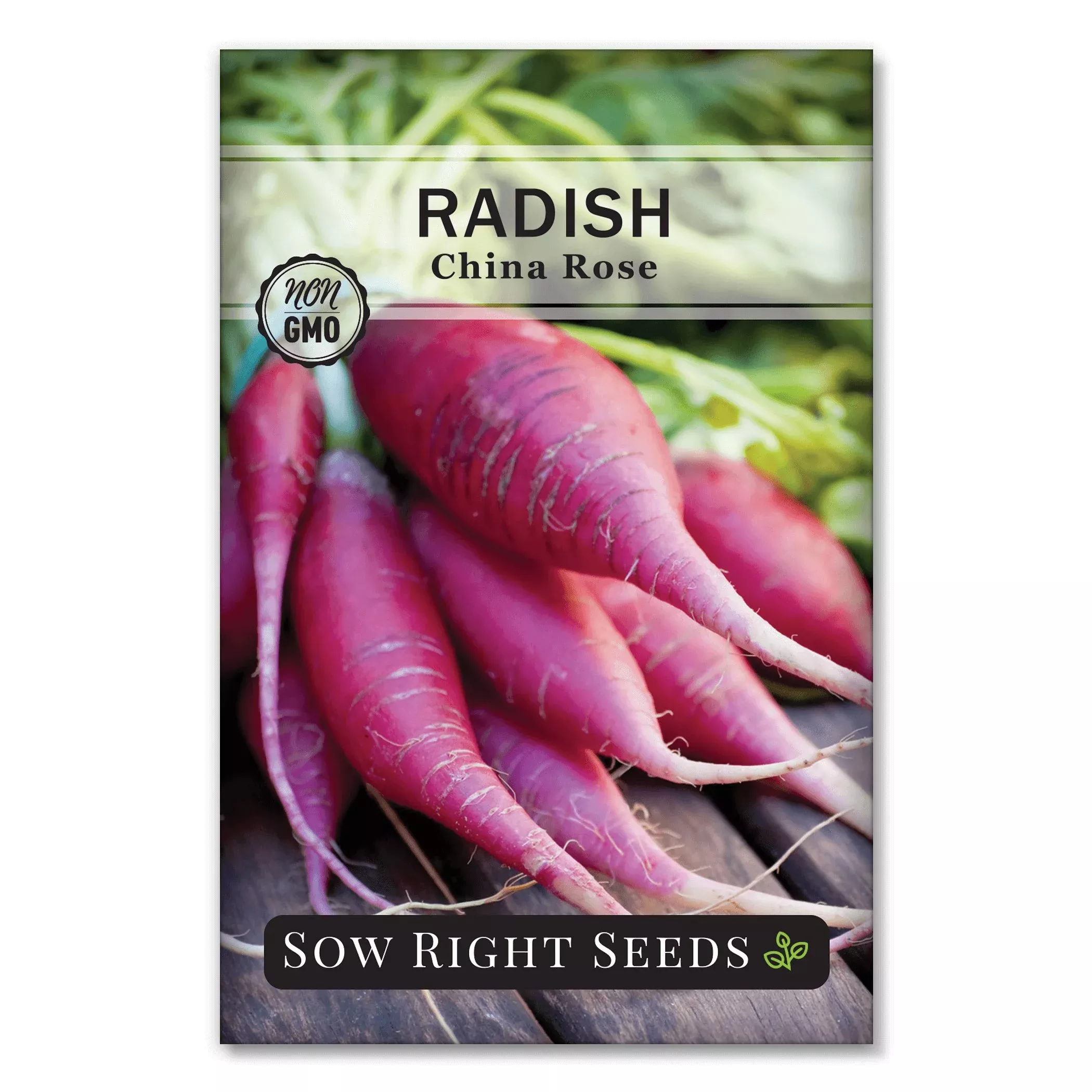 China Rose Radish