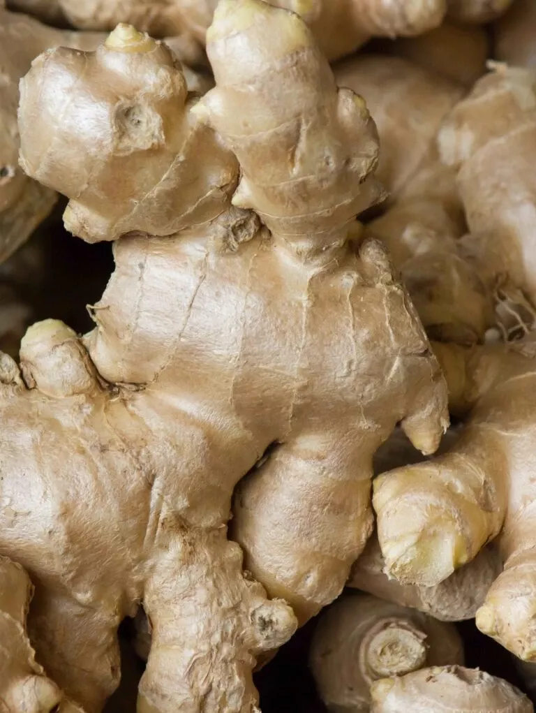 chinese-yellow-ginger Chinese Yellow Ginger