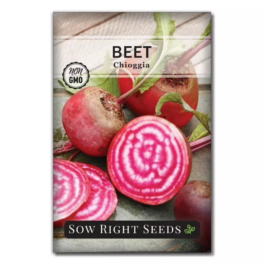 Chioggia Beet