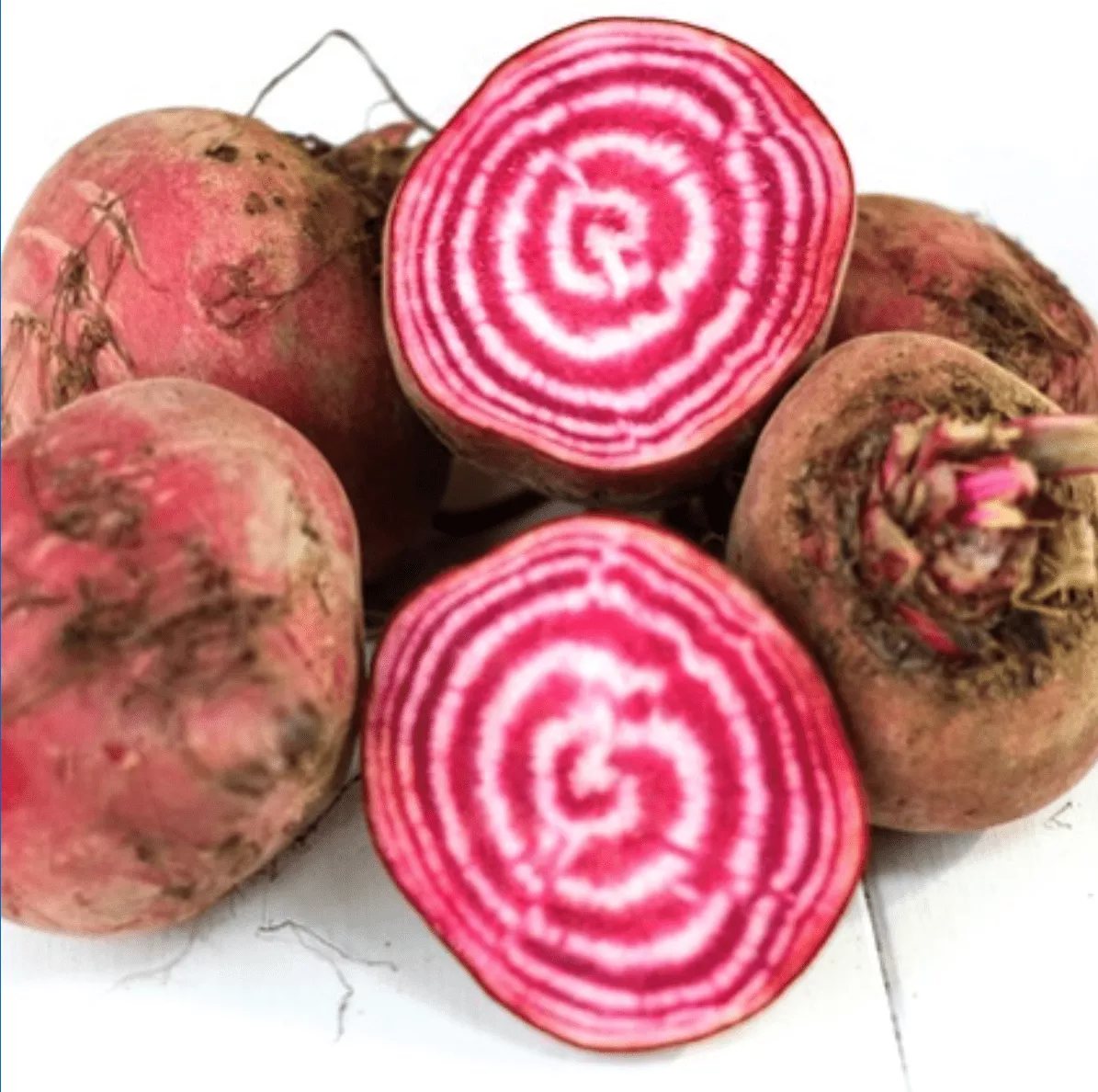 chioggia-guardsmark-beet Chioggia Guardsmark Beet
