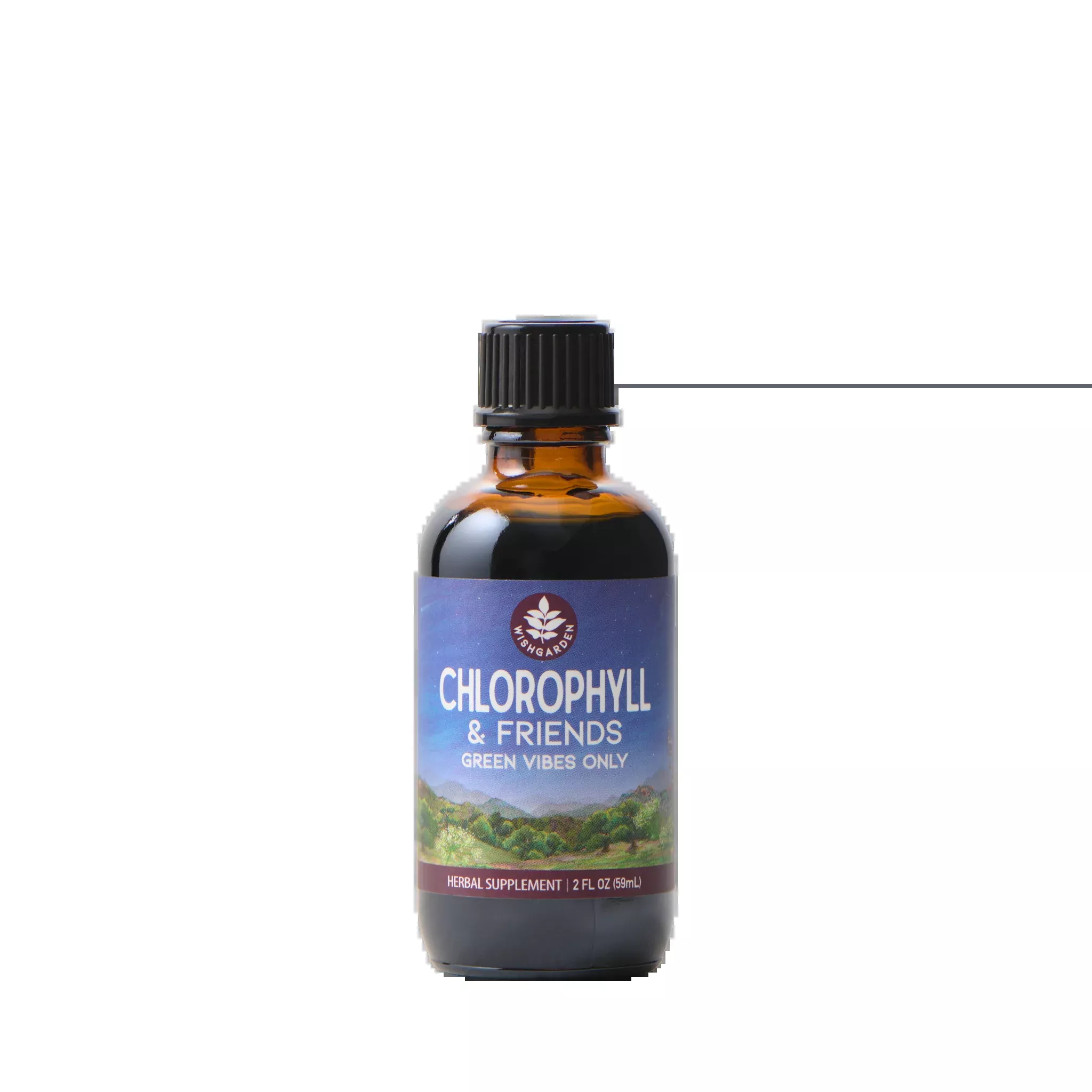 chlorophyll-friends Chlorophyll & Friends