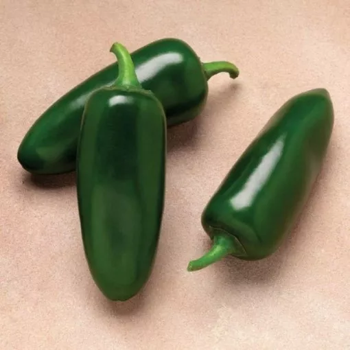 cinder-pepper-seeds Cinder Pepper Seeds
