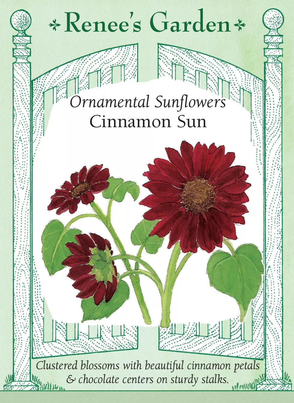 cinnamon-sun Cinnamon Sun