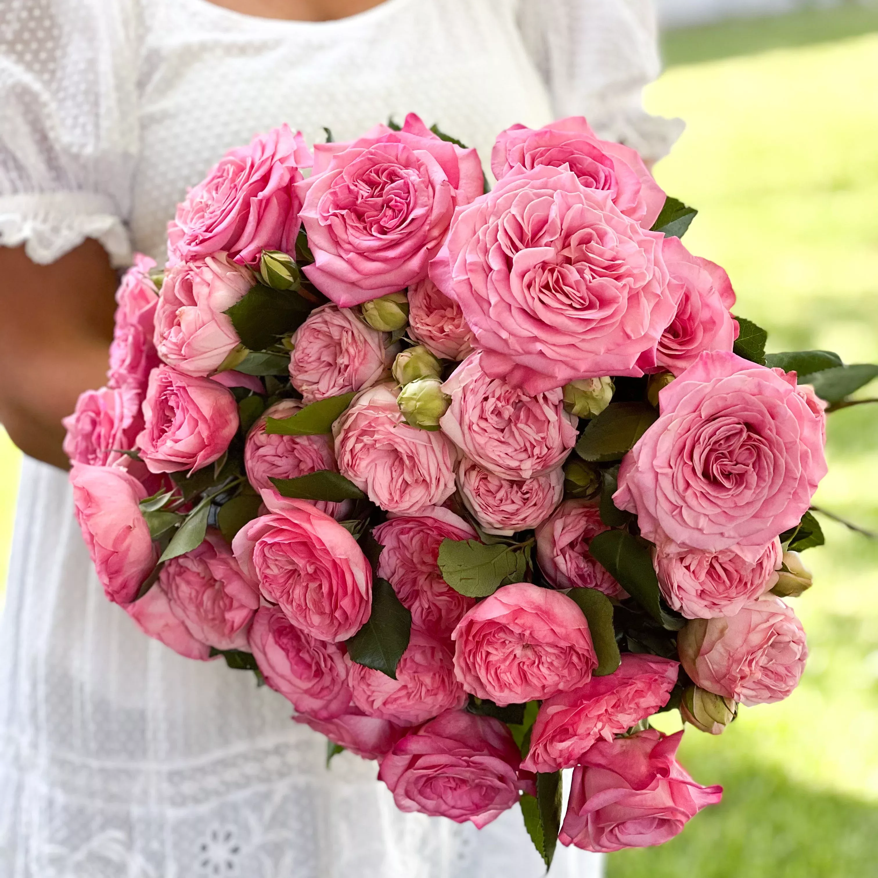 classic-pinks-garden-rose-bundle Classic Pinks Garden Rose Bundle