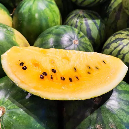 clay-county-watermelon Clay County Watermelon