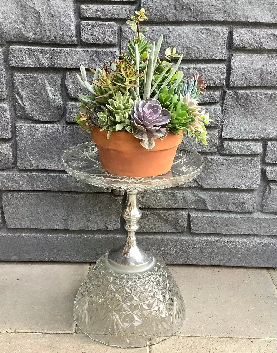 COA Large Crystal Plant Stand