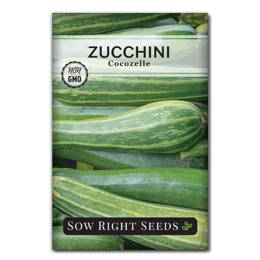 cocozelle-zucchini Cocozelle Zucchini
