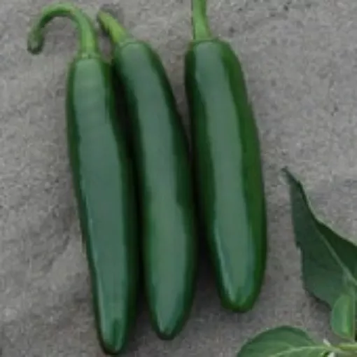 cocula-pepper-seeds Cocula Pepper Seeds