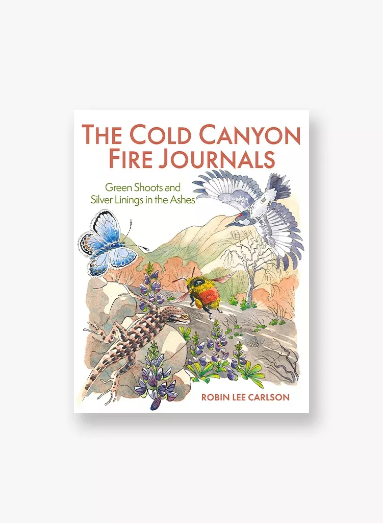 cold-canyon-fire-journals-green-shoots-silver-linings-in-ashes The Cold Canyon Fire Journals: Green Shoots and Silver Linings in the Ashes