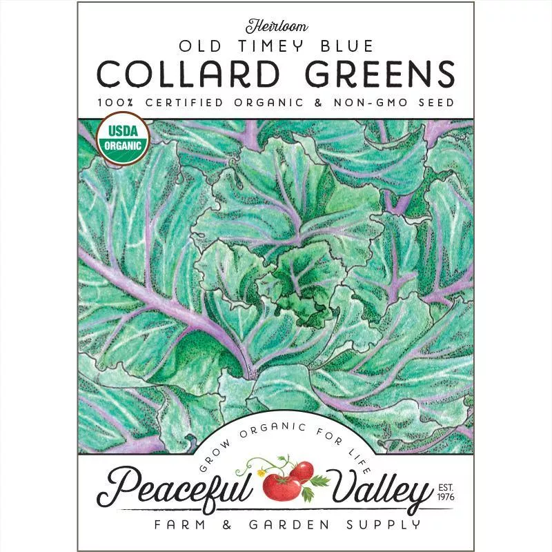 collard-old-timey-blue-greens-seeds-organic Collard Old Timey Blue Greens Seeds (Organic)