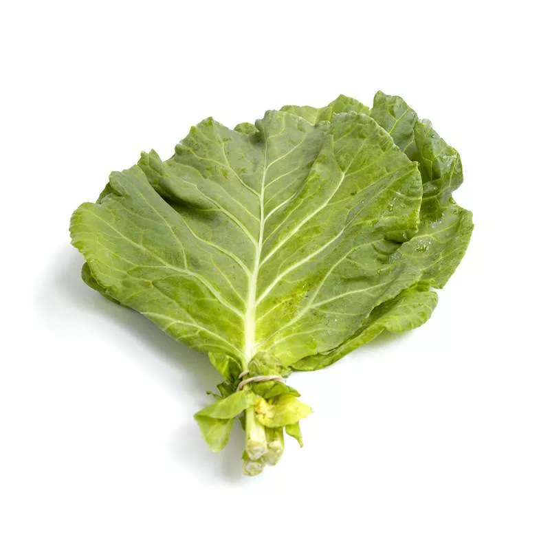 collards-southern-giant-bulk-seed Collards, Southern Giant - Bulk Seed