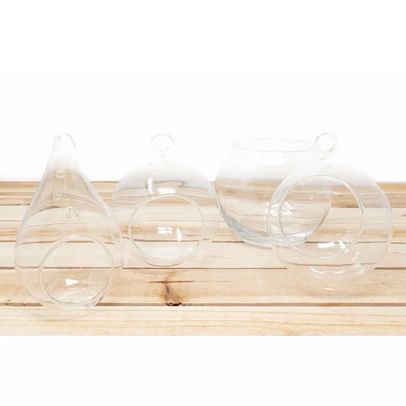 Collection of 4 Hand Blown Glass Terrariums