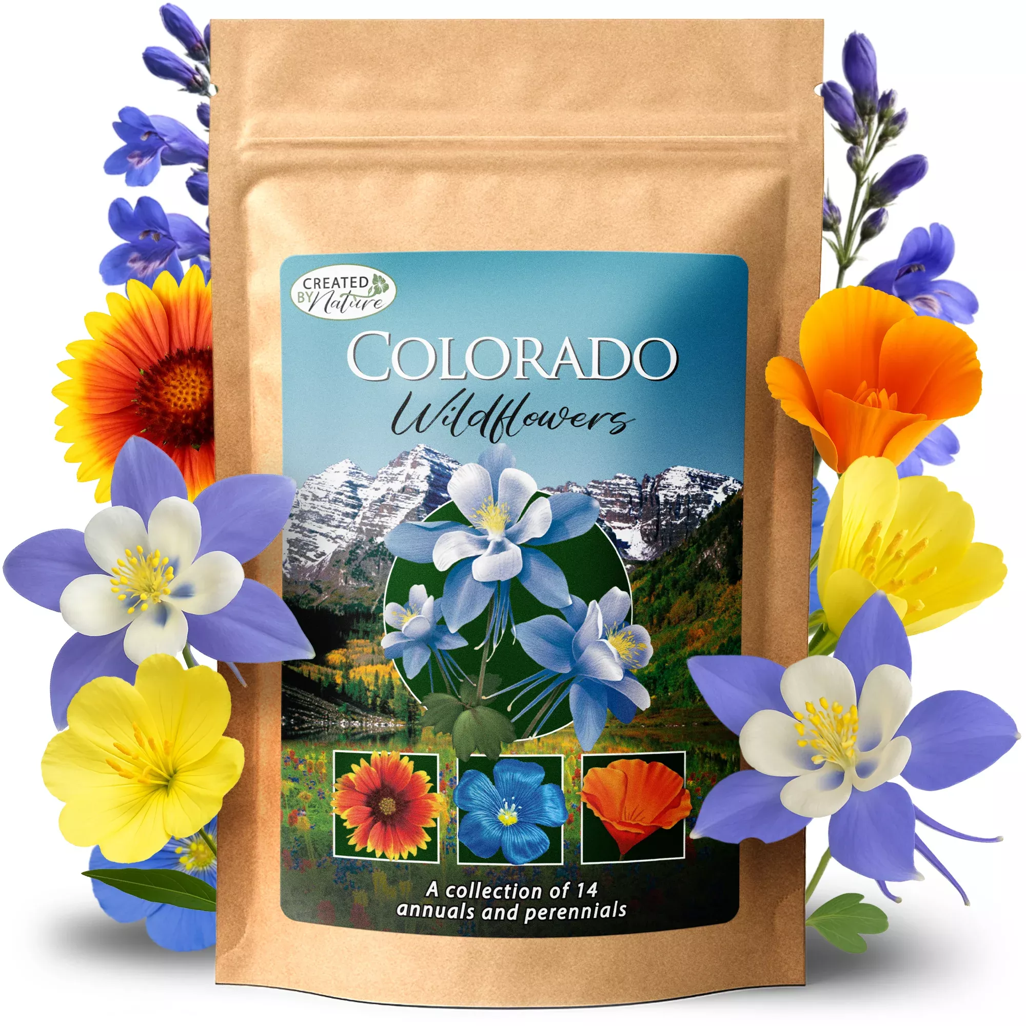 Colorado Wildflower Seed Mix