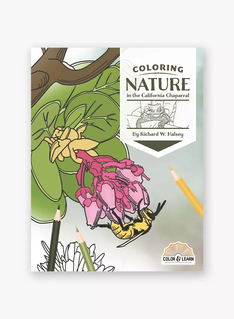 coloring-nature-in-california-chaparral Coloring Nature in the California Chaparral