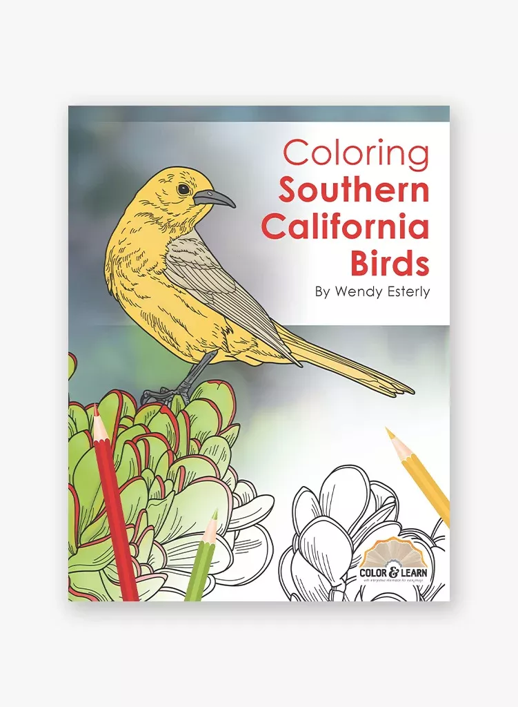 coloring-southern-california-birds Coloring Southern California Birds