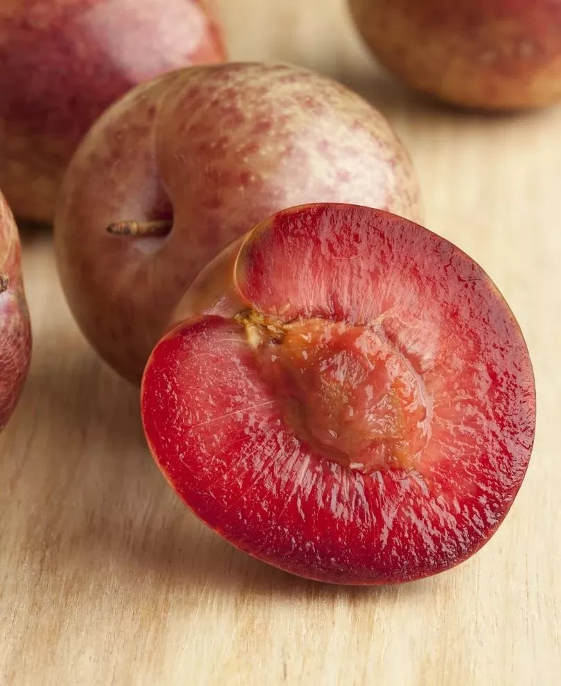 combo-zee-sweet-pluot-tree-3-varieties Combo Zee Sweet Pluot Tree (3 Varieties)