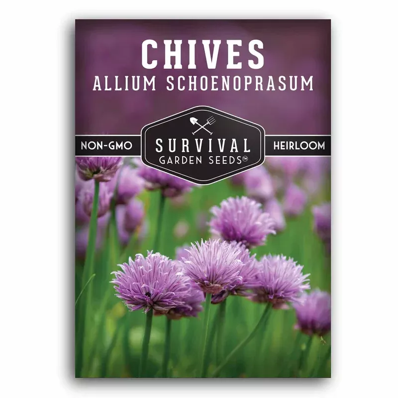 common-chive-seeds-perennial-allium-herb-with-mild-onion-flavor-gardens-containe Common Chive Seeds – Perennial Allium Herb with Mild Onion Flavor for Gardens, Containers & Indoor Growing