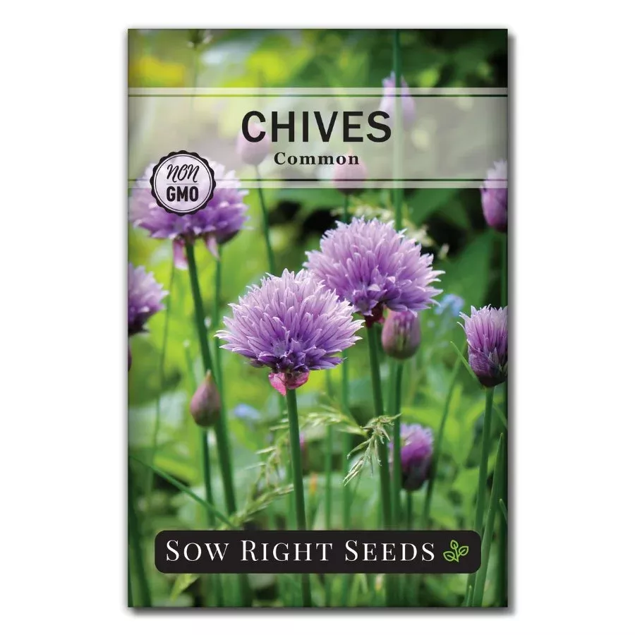 common-chives Common Chives