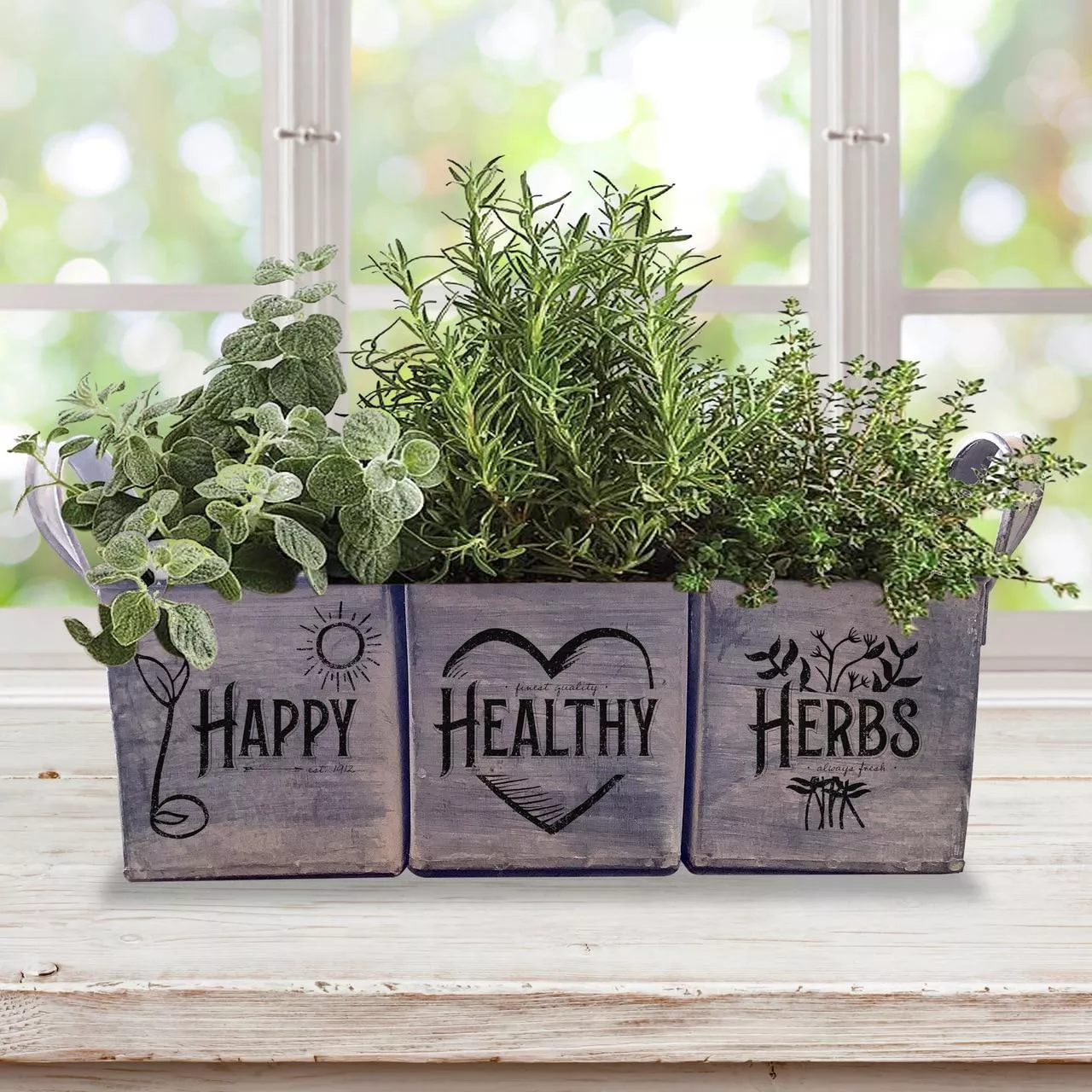 complete-indoor-herb-garden-kit Complete Indoor Herb Garden Kit