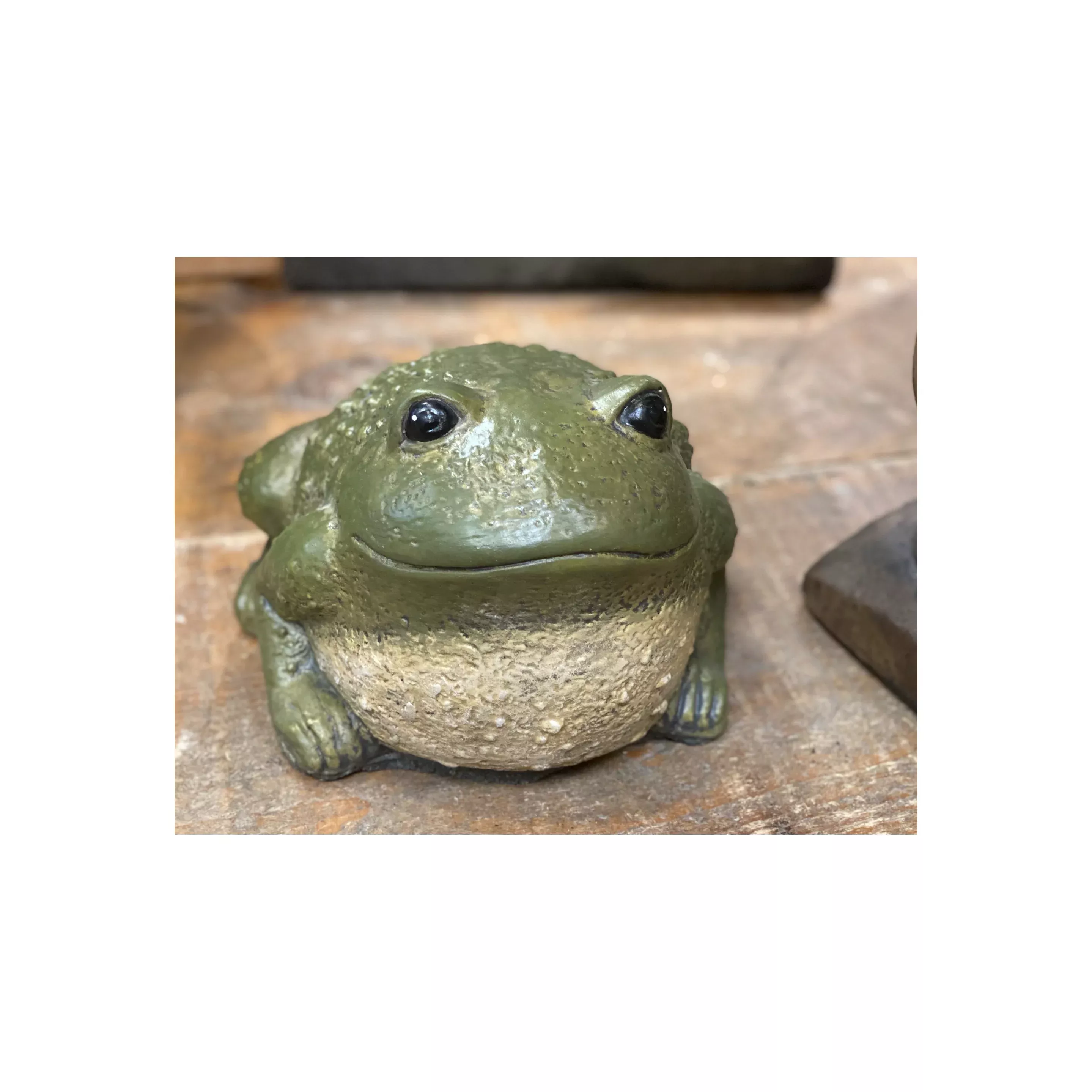 Concrete Green Fat Frog