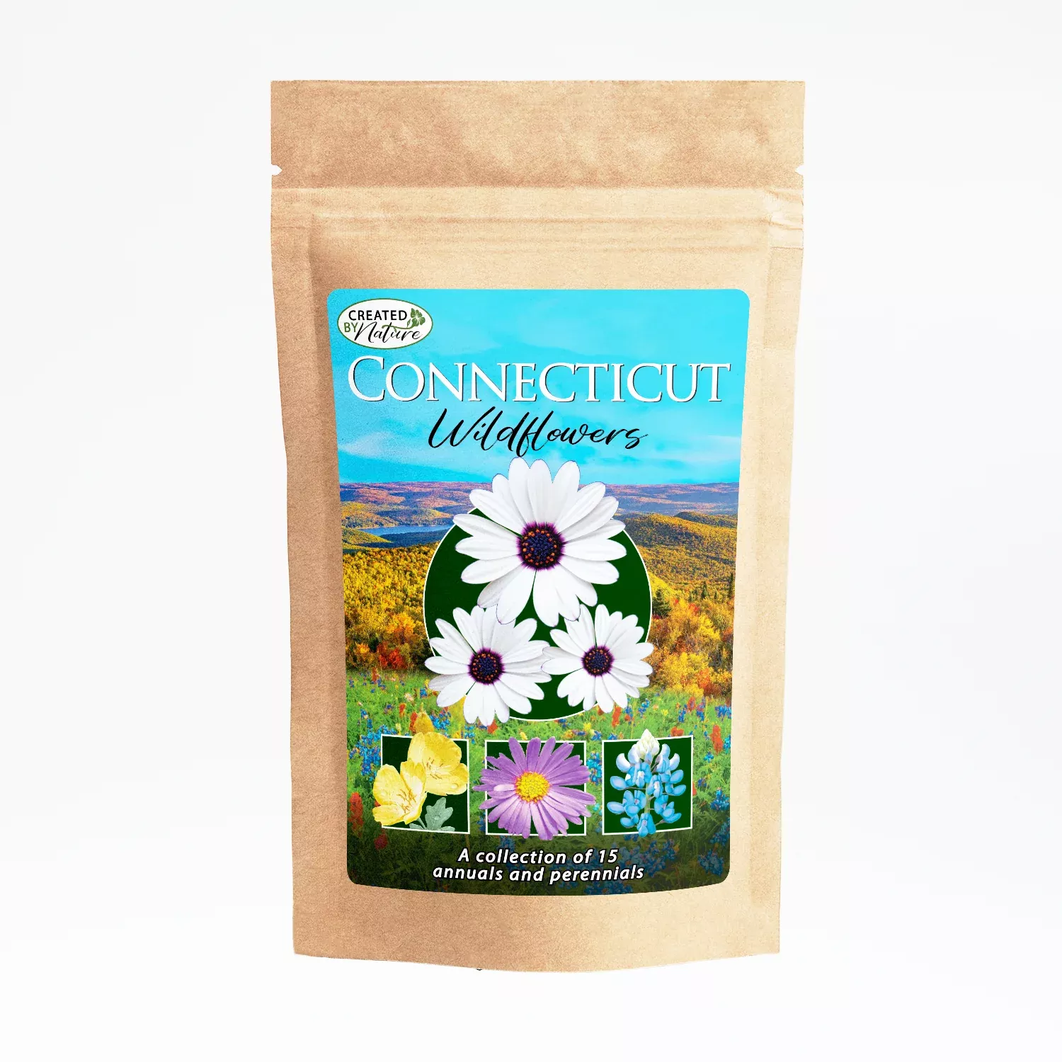 Connecticut Wildflower Seed Mix