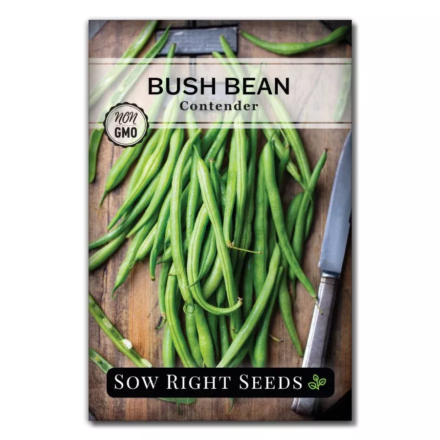 contender-bush-bean-seeds Contender Bush Bean Seeds